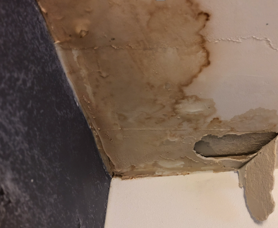 Dux Quest Pipe Hidden Bomb, Your local plumber