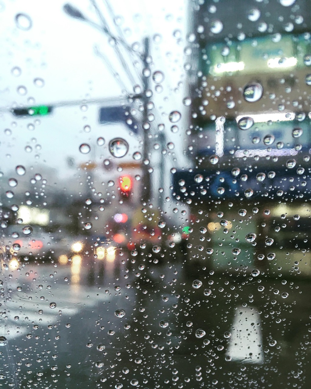 Rain in Auckland