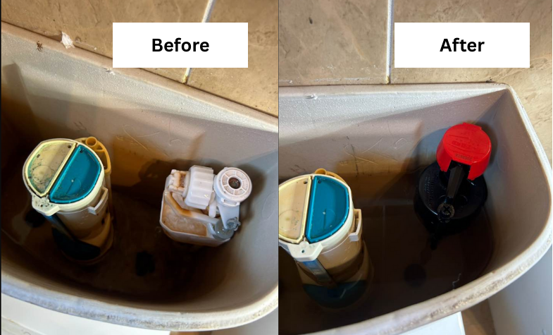Toilet comparison before and after